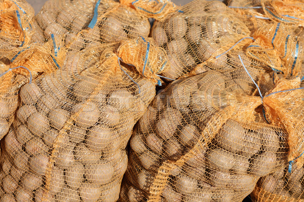 potatoes background Stock photo © jonnysek