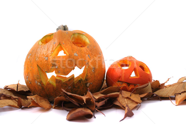 halloween pumpkins Stock photo © jonnysek