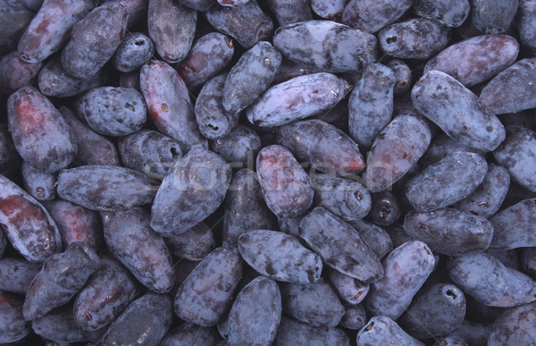 exotic blueberries Stock photo © jonnysek