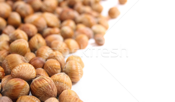 hazel nuts Stock photo © jonnysek