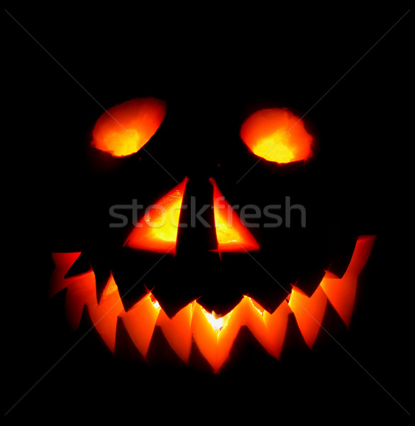 halloween pumpkin Stock photo © jonnysek