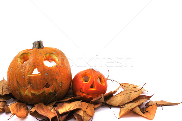 halloween pumkins Stock photo © jonnysek