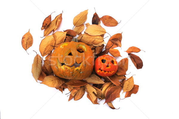 halloween pumpkins Stock photo © jonnysek