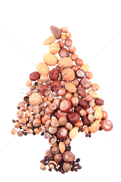 christmas tree from nuts Stock photo © jonnysek