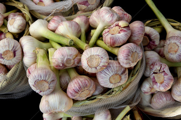 fresch garlic from the farm  Stock photo © jonnysek