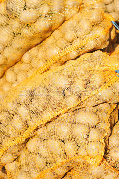 potatoes background Stock photo © jonnysek