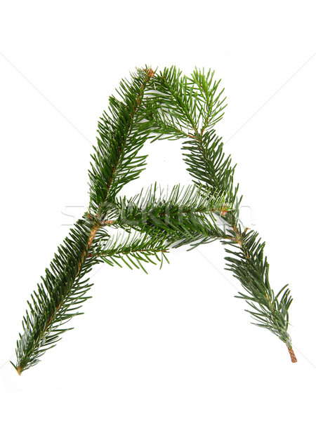 Symbool christmas alfabet pijnboom gelukkig natuur Stockfoto © jonnysek