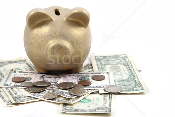 Złota wieprzowych banku dolarów odizolowany biały Zdjęcia stock © jonnysek