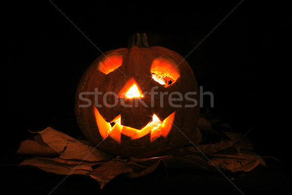Halloween pumkin  Stock photo © jonnysek