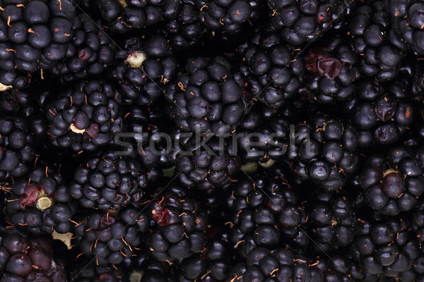 Agradable naturales frutas fondo grupo Foto stock © jonnysek