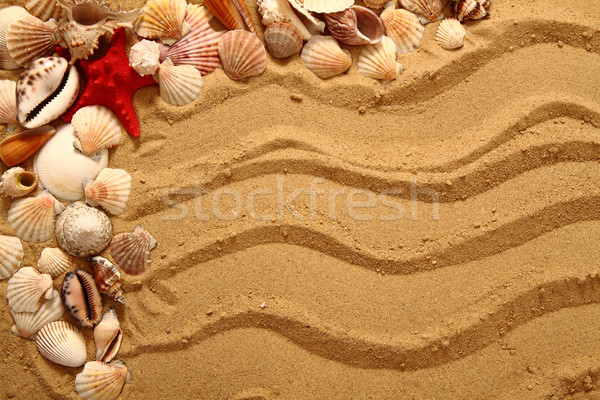sand and shells as very nice background Stock photo © jonnysek