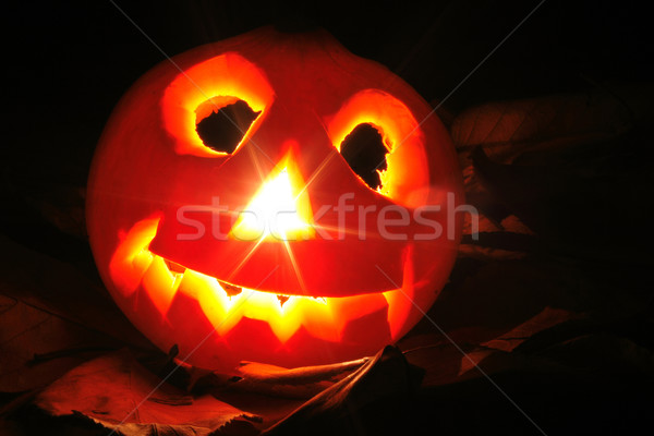 halloween pumpkin Stock photo © jonnysek