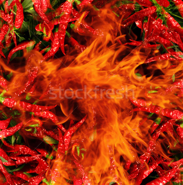 Chili lángok izolált fekete sötét textúra Stock fotó © jonnysek
