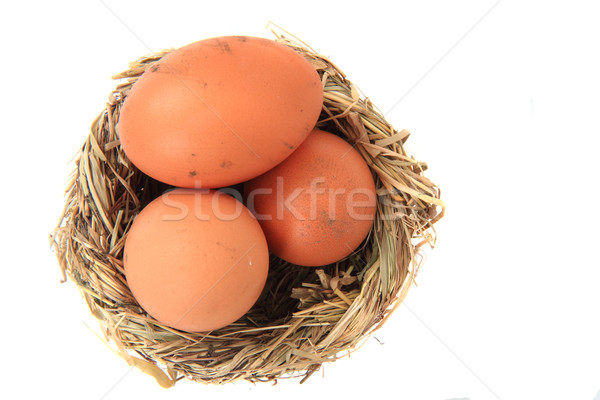 Stockfoto: Eieren · nest · geïsoleerd · witte · boerderij · diner