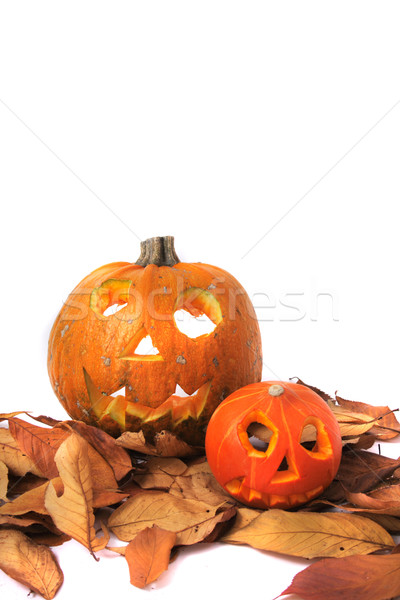 halloween pumpkins Stock photo © jonnysek