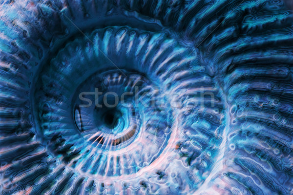 abstract blue spiral Stock photo © jonnysek