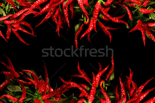 chili background Stock photo © jonnysek