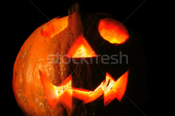 halloween pumpkin in the dark night  Stock photo © jonnysek