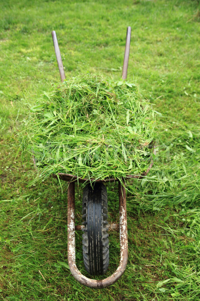 тачка свежие зеленая трава небольшой домой фермы Сток-фото © jonnysek