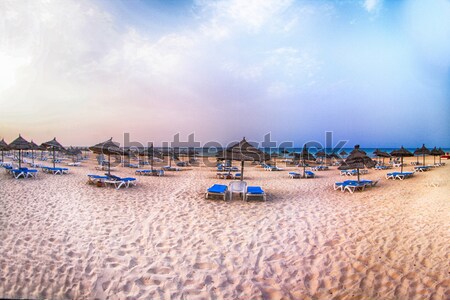 tunisian beach Stock photo © jonnysek