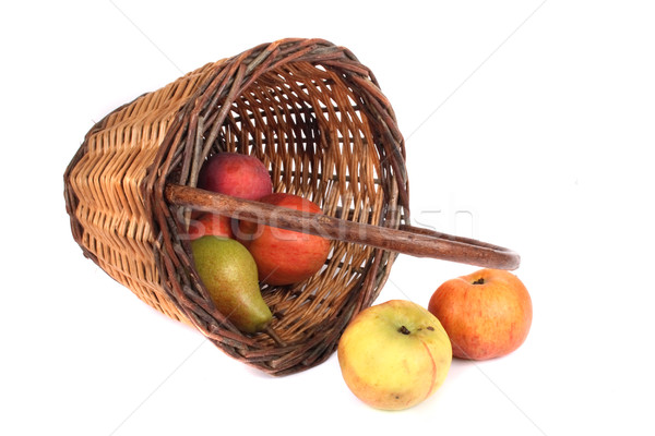 Wiklina koszyka pełny jabłka gruszki owoce Zdjęcia stock © jonnysek