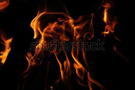 огня красный оранжевый изолированный черный текстуры Сток-фото © jonnysek