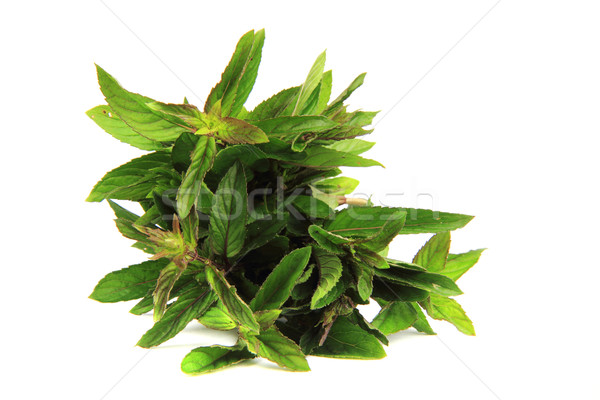 fresh green mint Stock photo © jonnysek