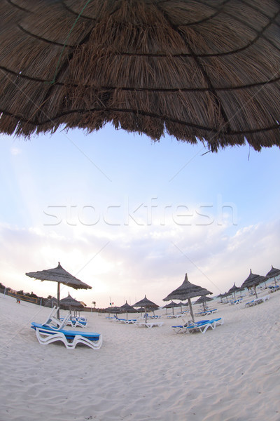 beach Stock photo © jonnysek