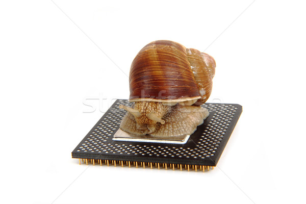 snail isolated on the computer heart Stock photo © jonnysek