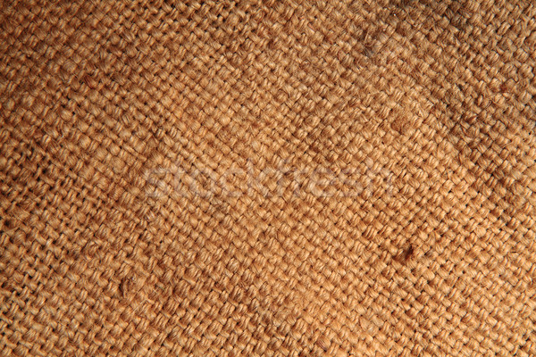 natural wool texture  Stock photo © jonnysek