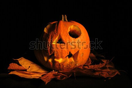 halloween pumpkin Stock photo © jonnysek