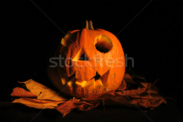 halloween pumkin Stock photo © jonnysek