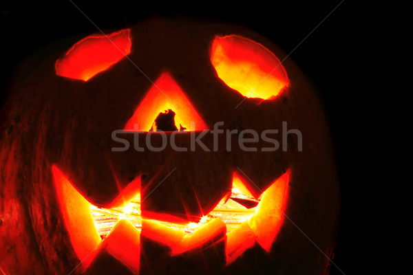 halloween pumpkin Stock photo © jonnysek