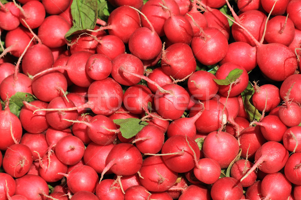 Vermelho vegetal fresco fazenda comida Foto stock © jonnysek