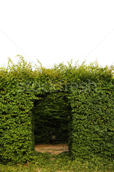 Verde porta bom jardim fundo parque Foto stock © jonnysek