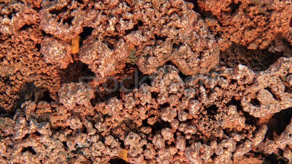 natural copper background Stock photo © jonnysek