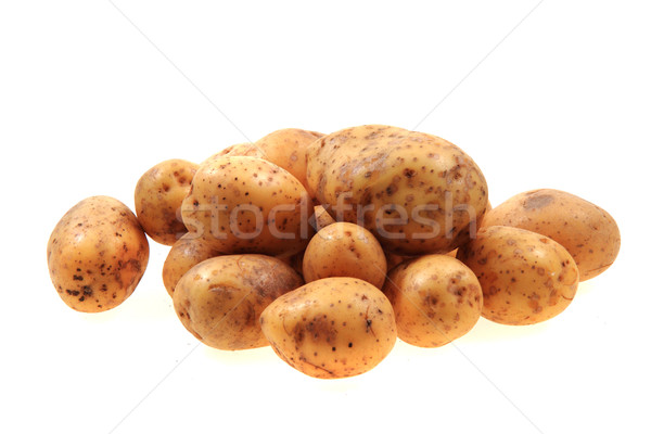 Stok fotoğraf: Taze · patates · yalıtılmış · beyaz · grup · pişirme