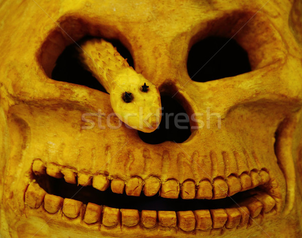 halloween pumpkin background  Stock photo © jonnysek