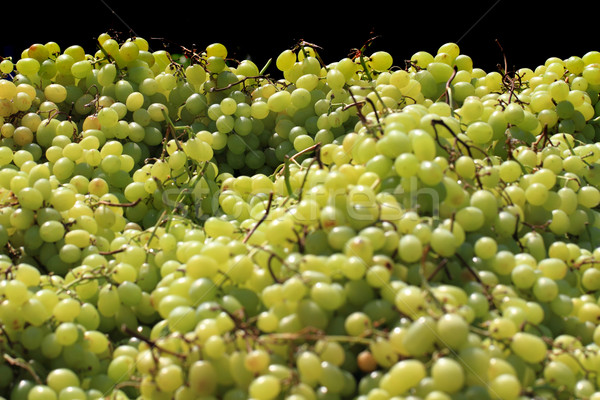 Witte druiven textuur mooie vruchten voedsel Stockfoto © jonnysek