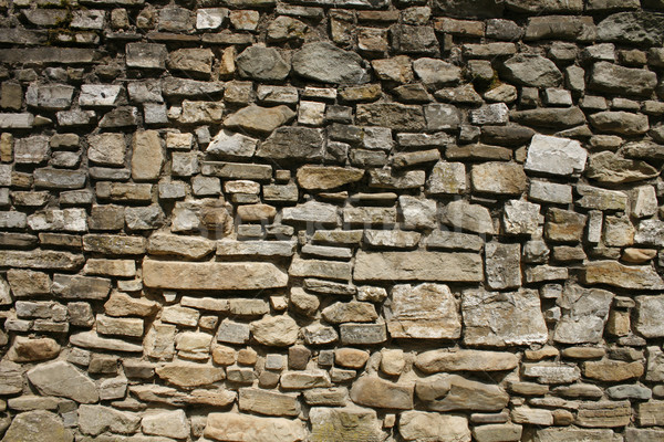wall texture Stock photo © jonnysek