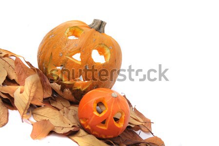 halloween pumkins  Stock photo © jonnysek