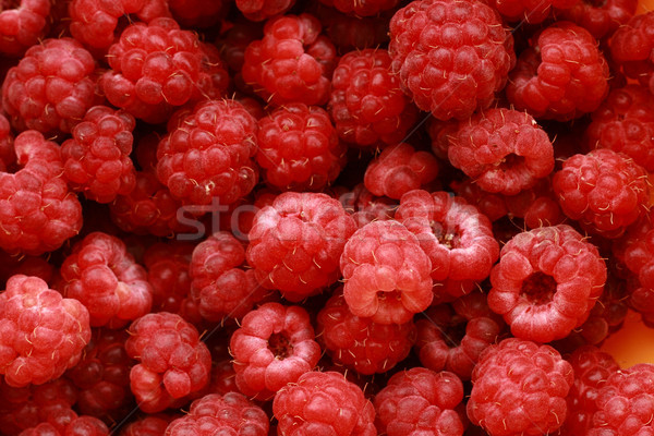 Piros málna szép étel szín desszert Stock fotó © jonnysek