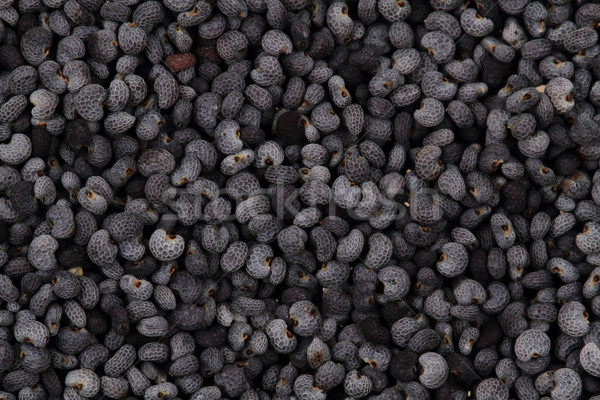 Foto stock: Naturales · amapola · semillas · textura · agradable · alimentos