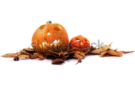 Halloween pumkins on the white background  Stock photo © jonnysek