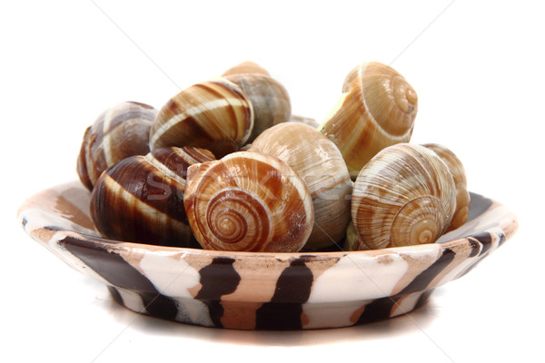 snails - french gourmet food Stock photo © jonnysek