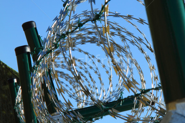 barbed wire against blue sky Stock photo © jonnysek