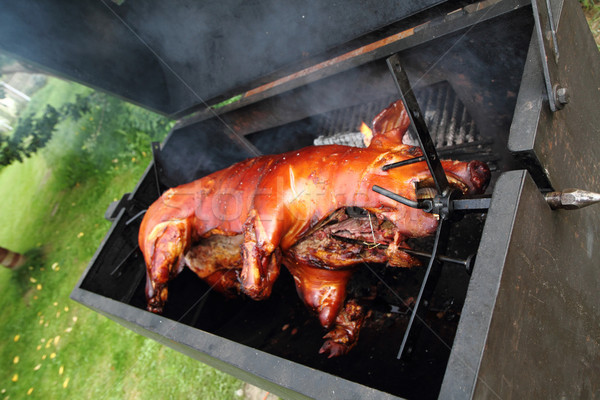 Gratar porc mic garden party fermă cină Imagine de stoc © jonnysek