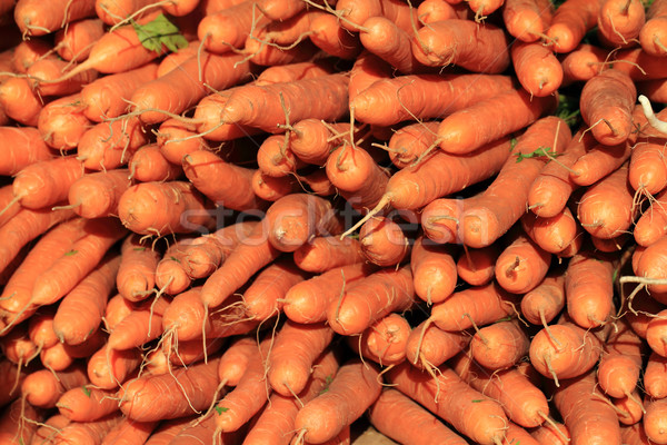 red carrot background Stock photo © jonnysek