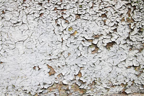 Alten beschädigt weiß Wand Haus Textur Stock foto © jonnysek
