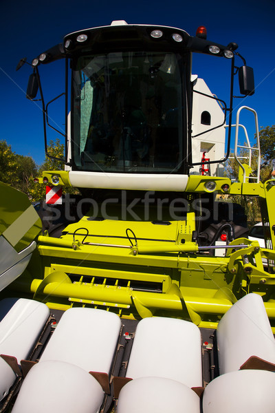 Ver milho verão trigo cortar Foto stock © joruba